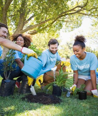 group-of-volunteer-planting.jpg group-of-volunteer-planting.jpg